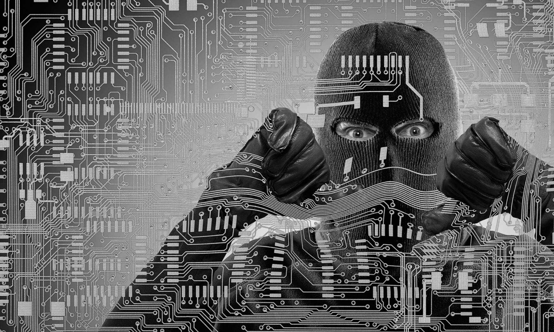 cybercriminalité