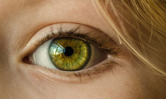 oeil