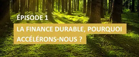 CNCGP-finance-durable