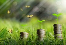 Assurance vie : Vertessima, un fonds en euros durable